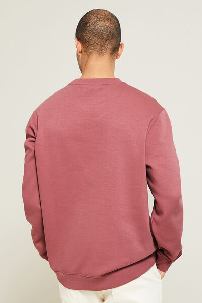 Sweater met ronde hals en ton sur ton borduursel o