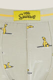 Boxer licence Simpsons