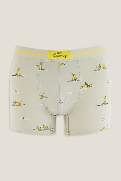 Boxer licence Simpsons