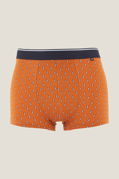 Lot de 3 boxers fantaisie